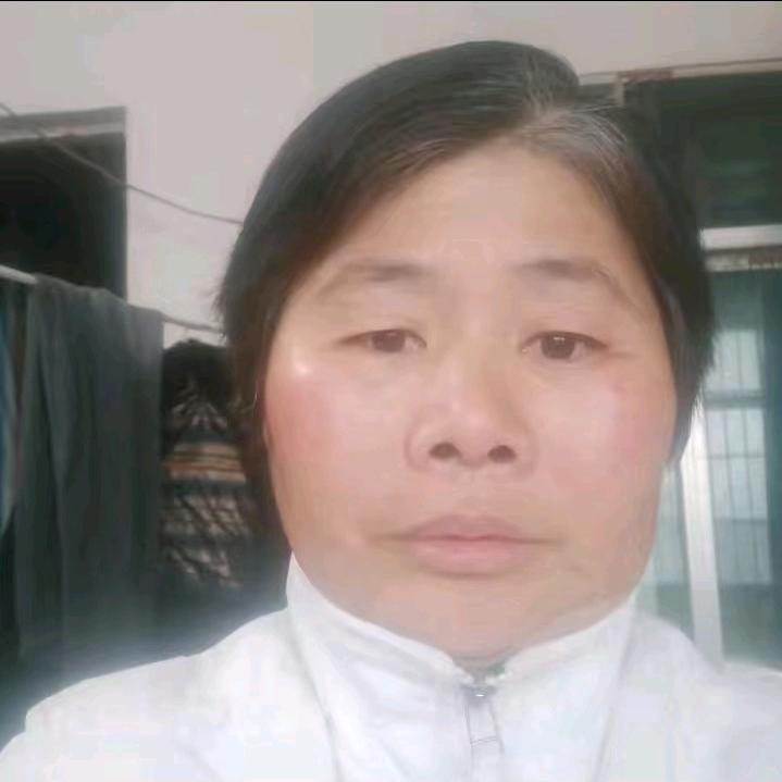 金凤凰主播