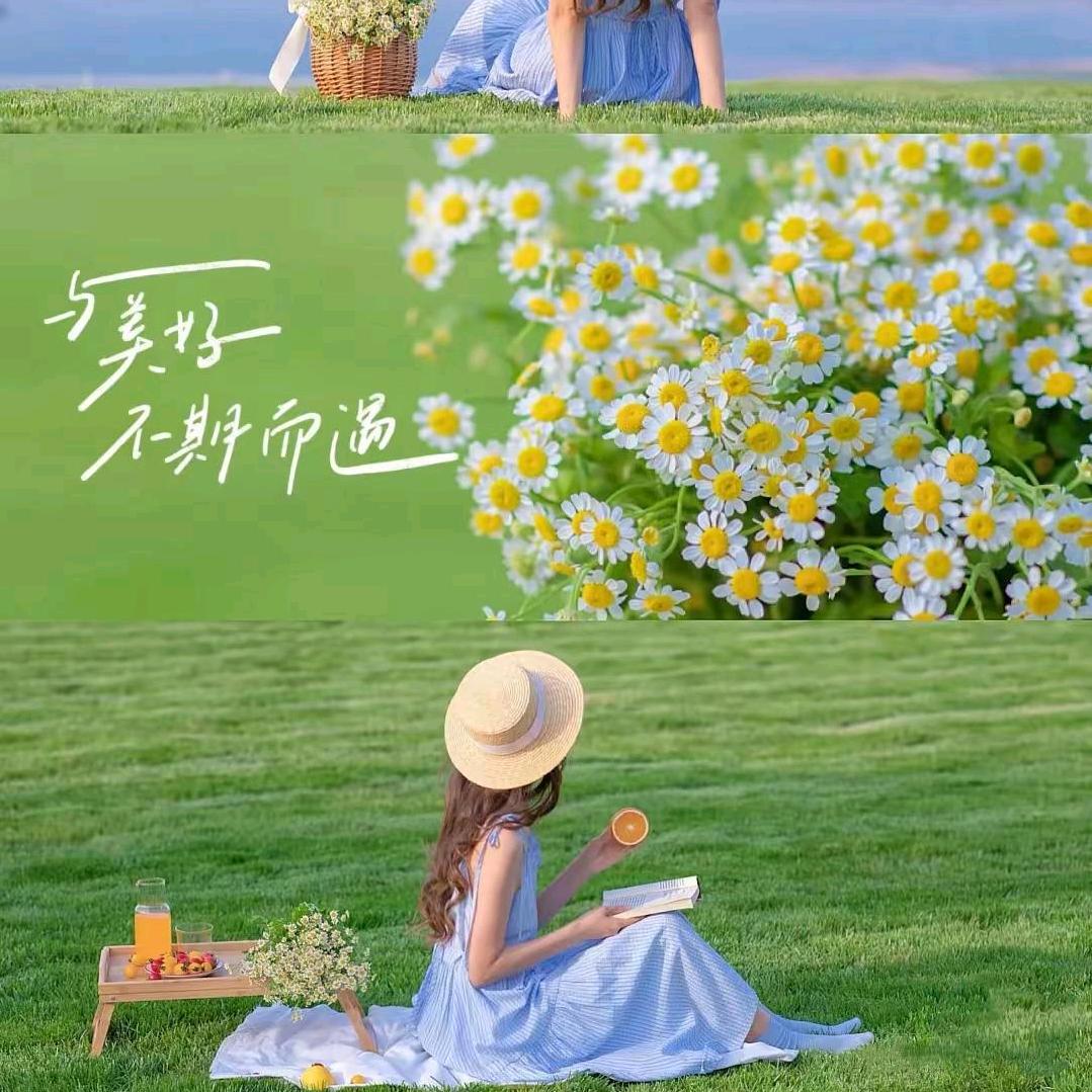 七月儿