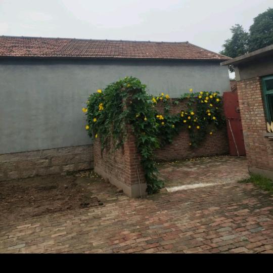 好运如影随行