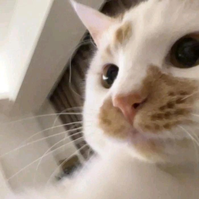 天晴