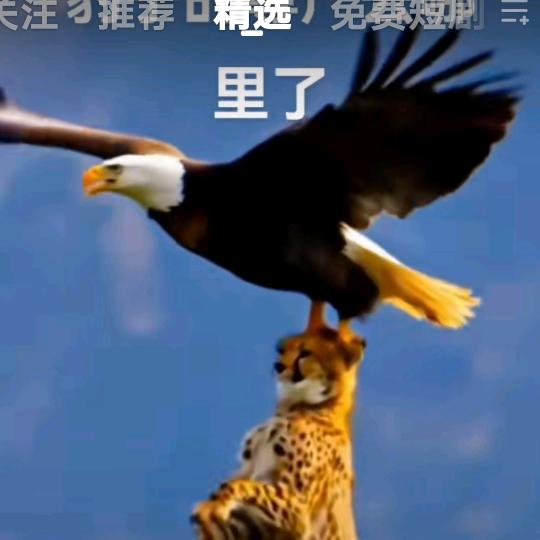 被驴踢了🥚疼
