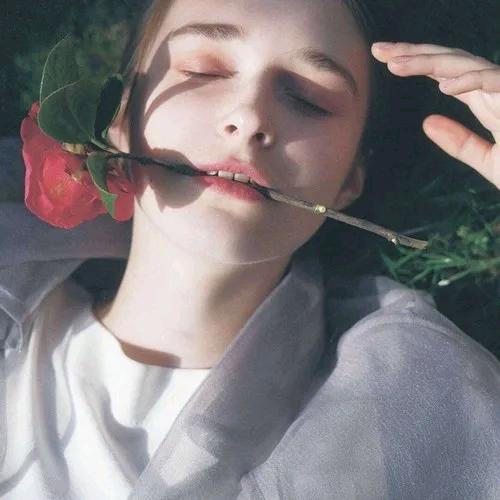 ℤynk-Ꮤink