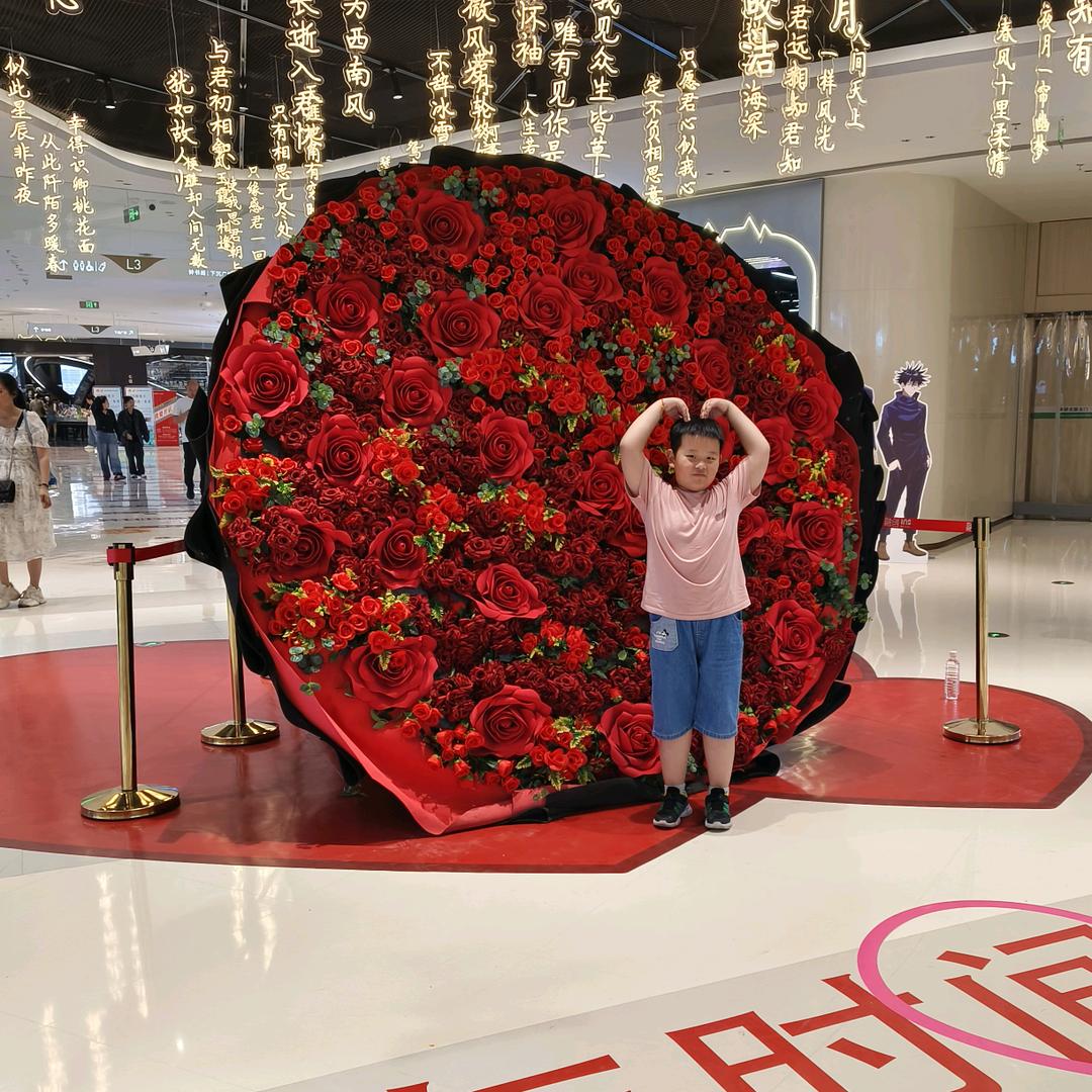 莲芯