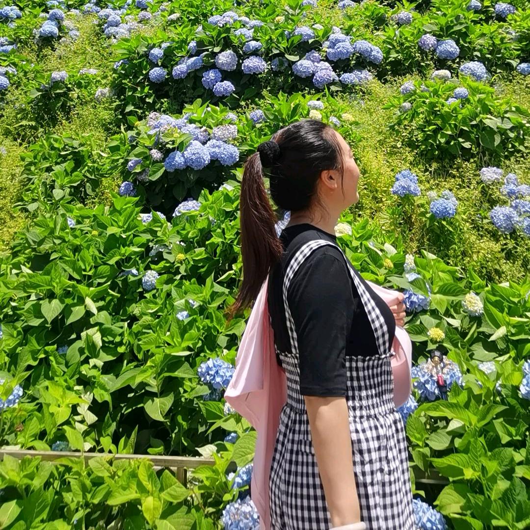 孤芳自赏