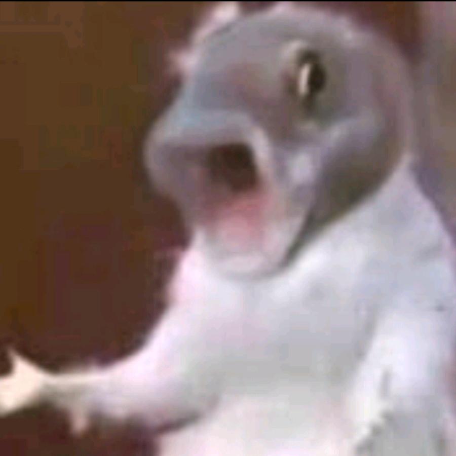 哈基登