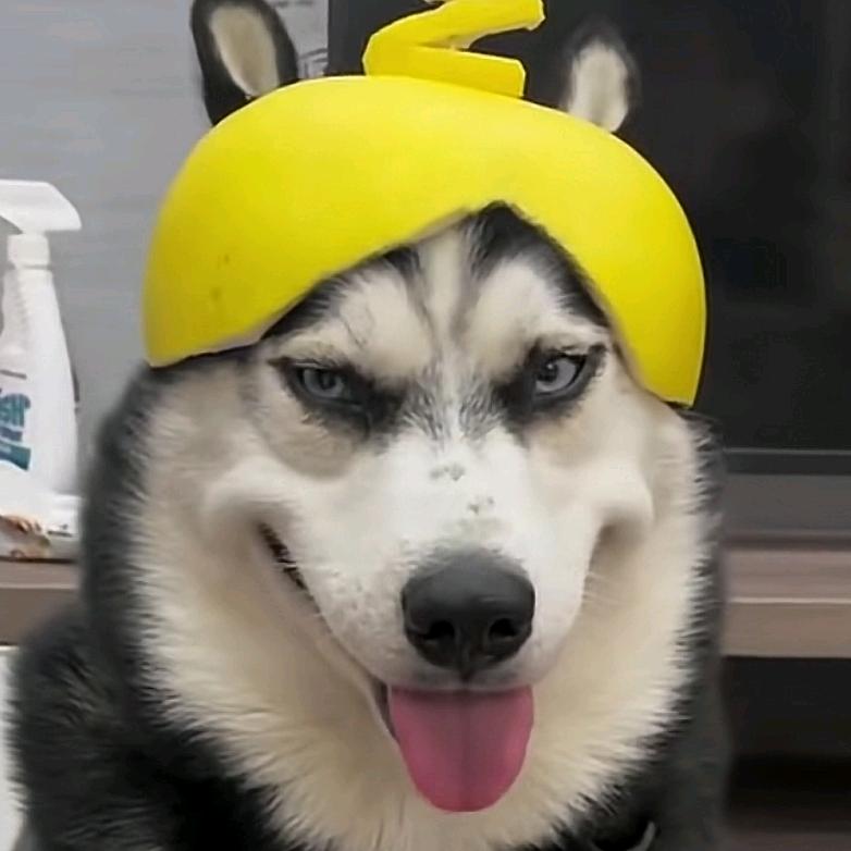 十贰