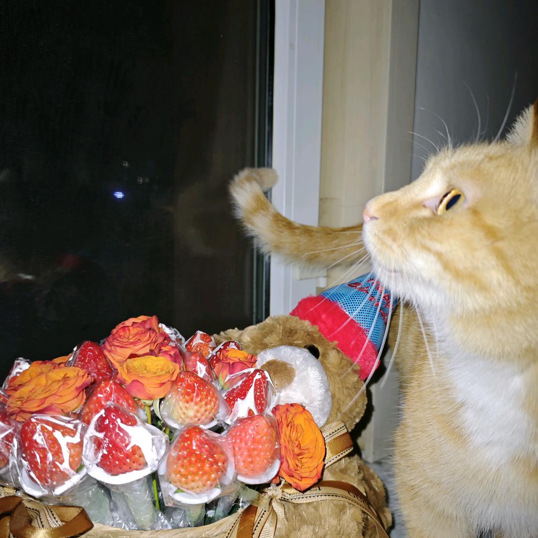 夜空中最亮的星