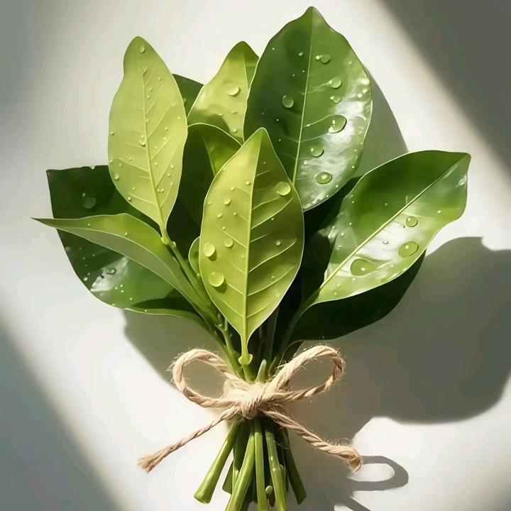 🌈*小涂🐰稀里糊涂