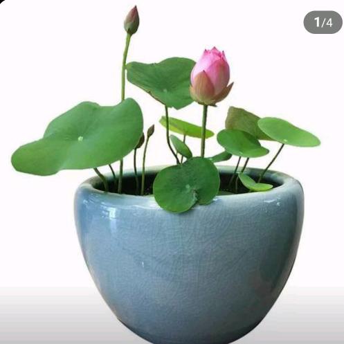 博古商贸