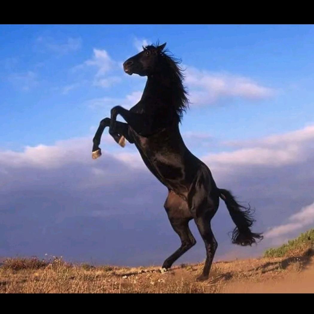 下元商贸禧天龙&信利通百货