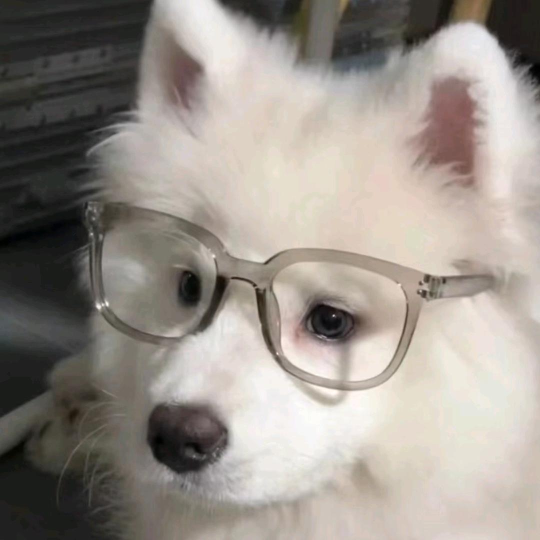 July红蝶.