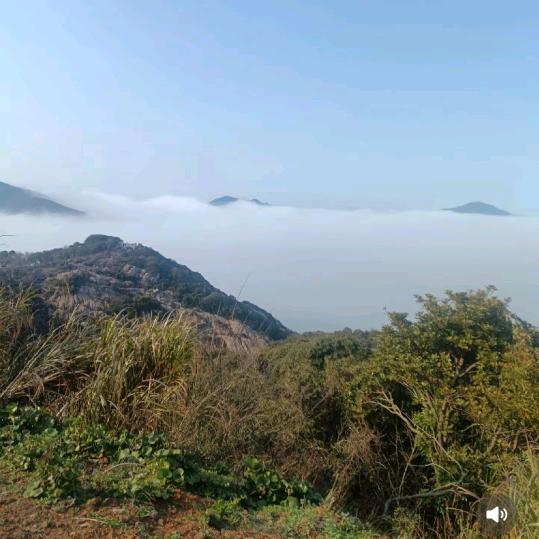 浅随