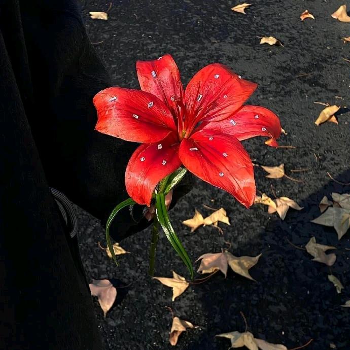 西安房产渣渣龙