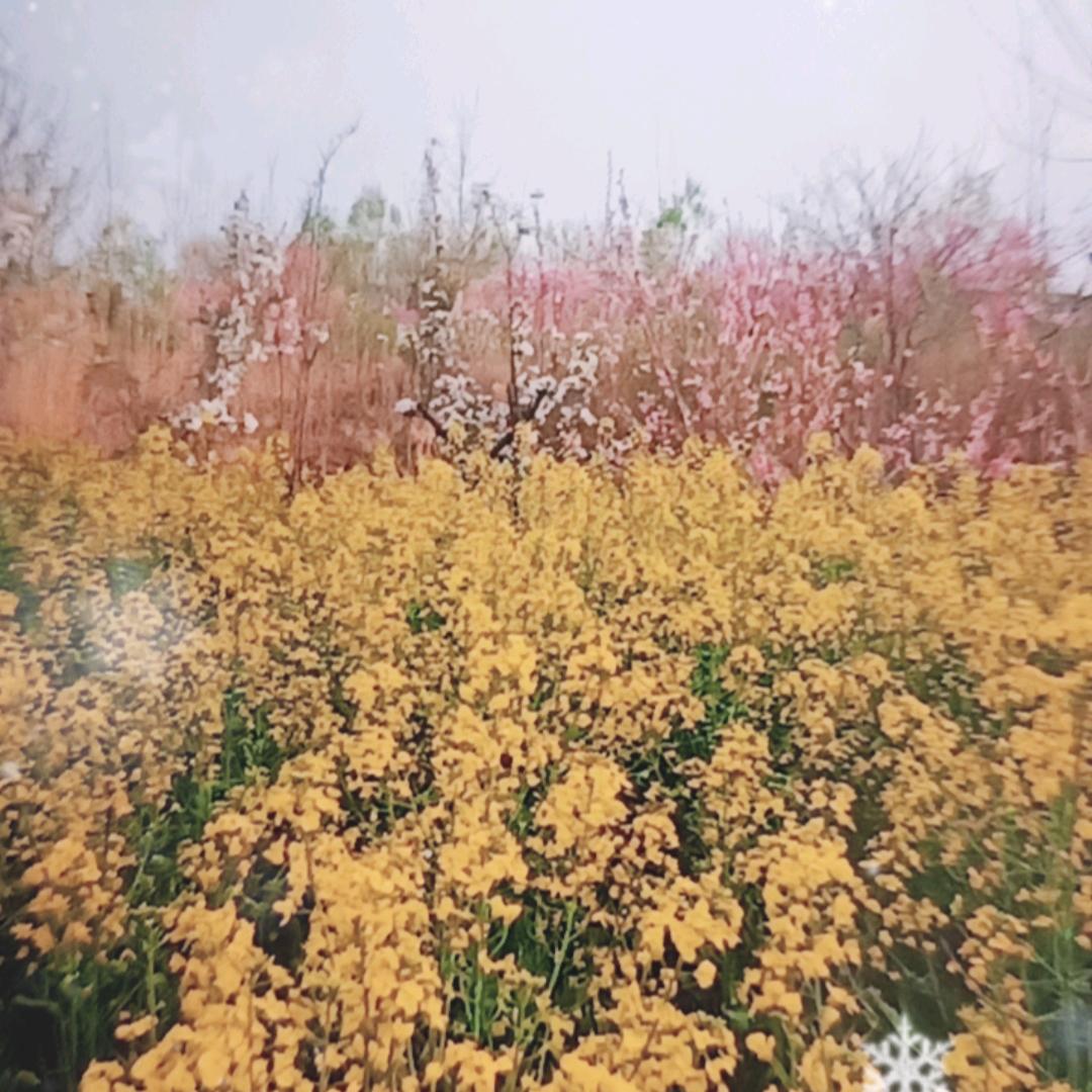 张红(可私)😍😍