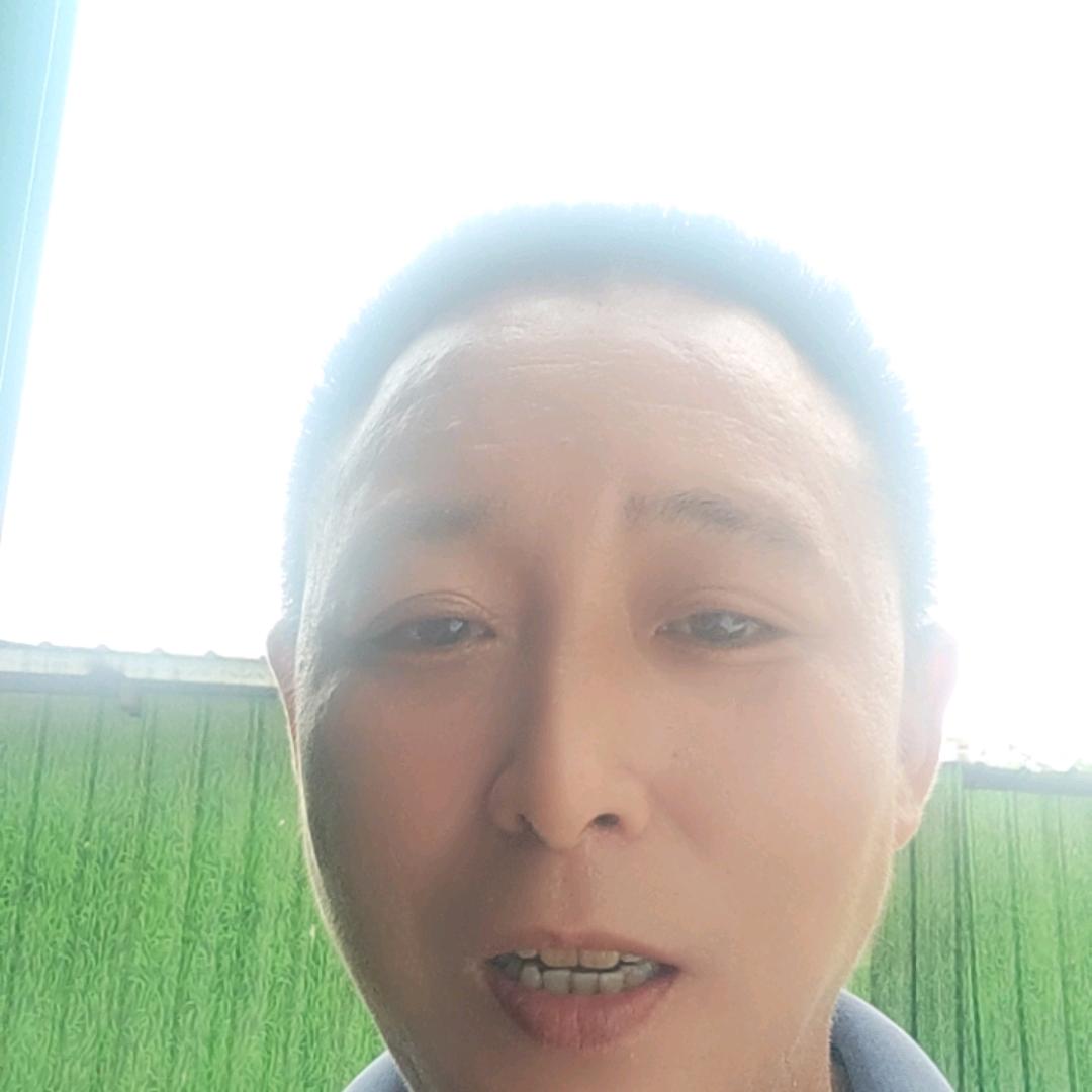伍虎