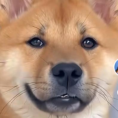 快乐龙