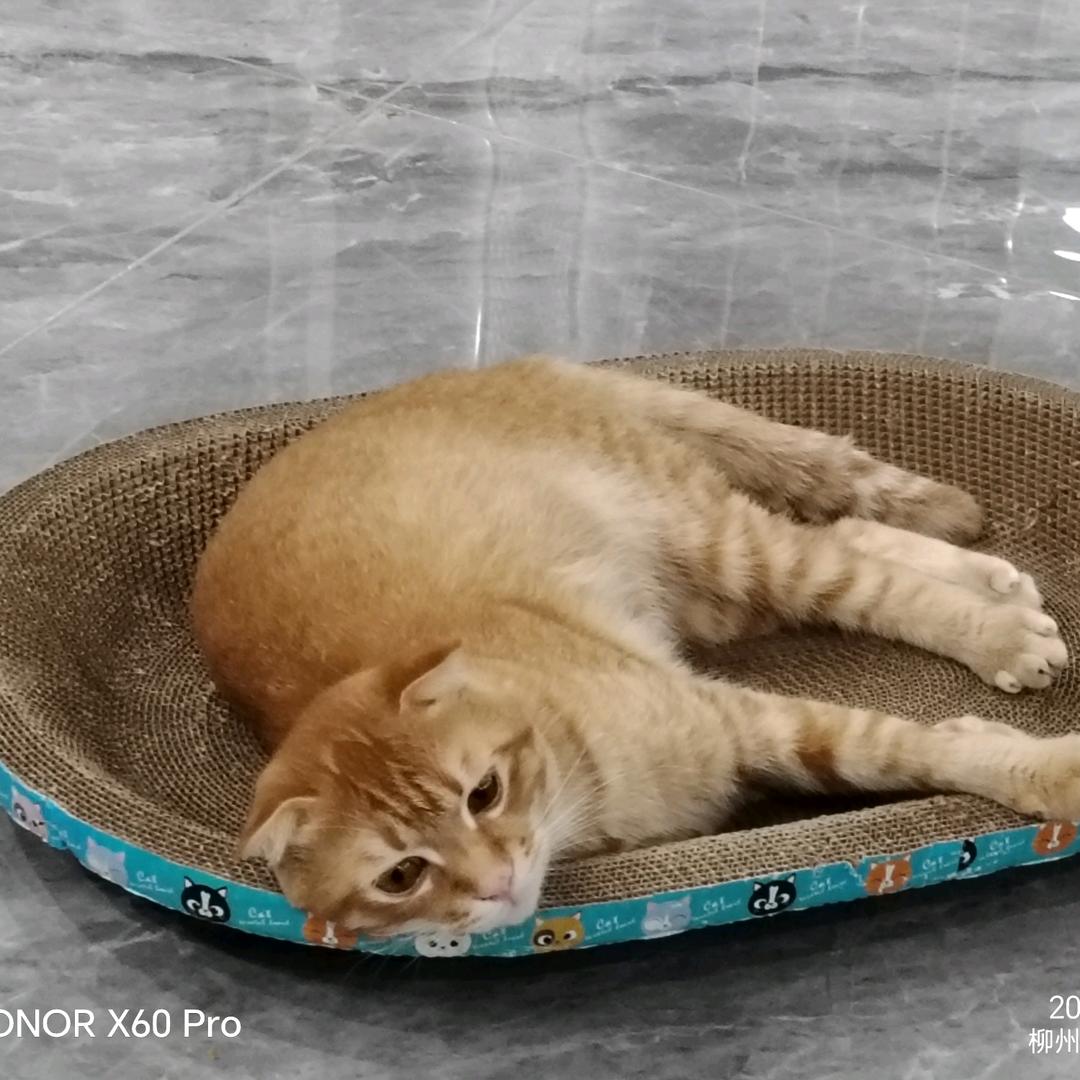 壹千生活记
