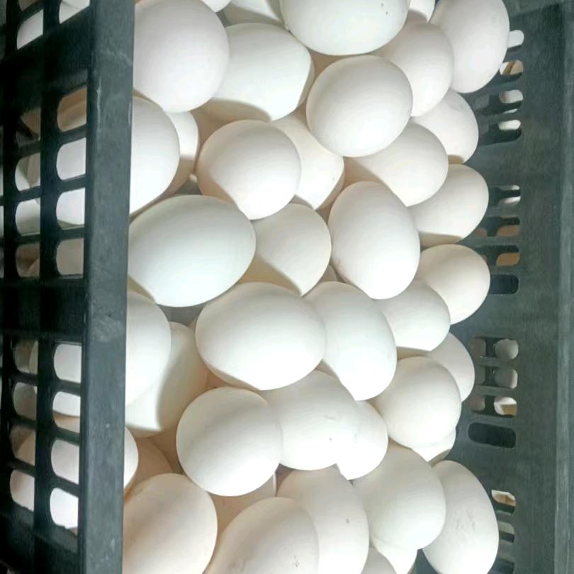 四喜日用品商贸店