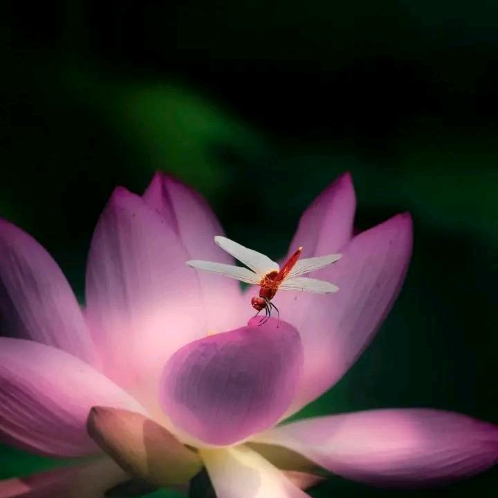 何必在意