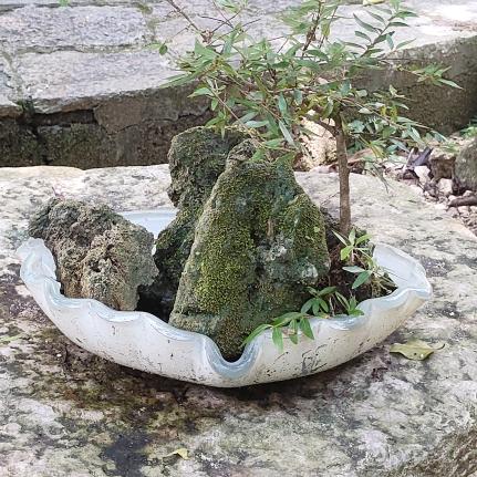 智富天下