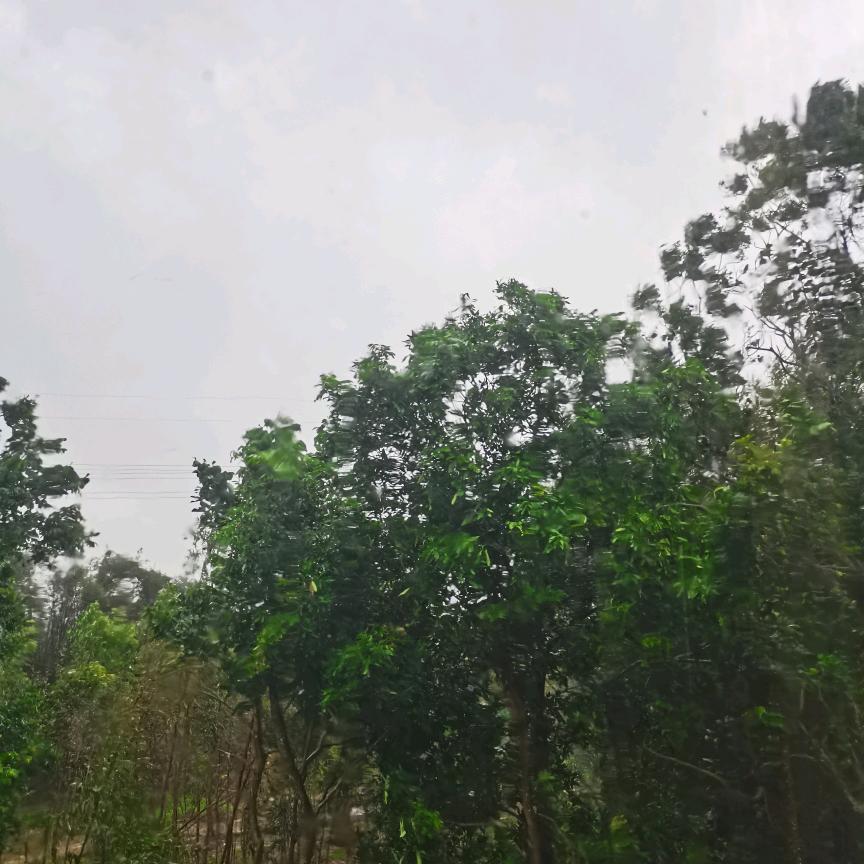 雨思