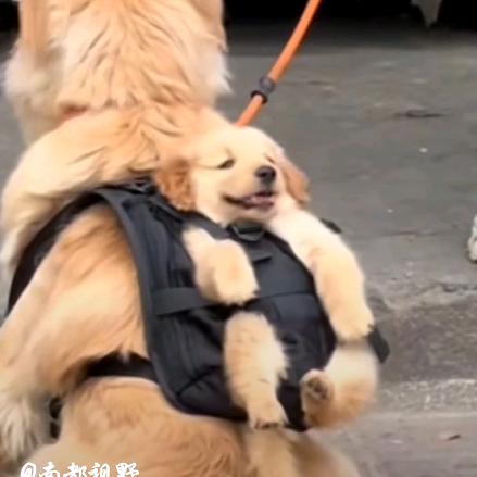 魏云明