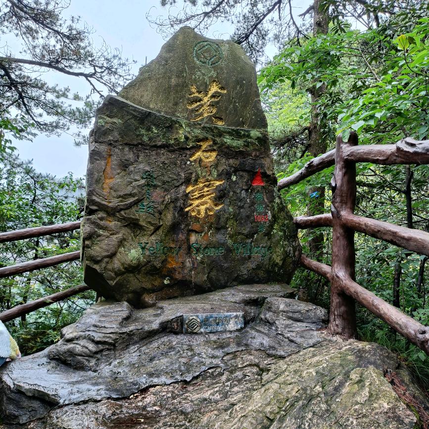 轮年