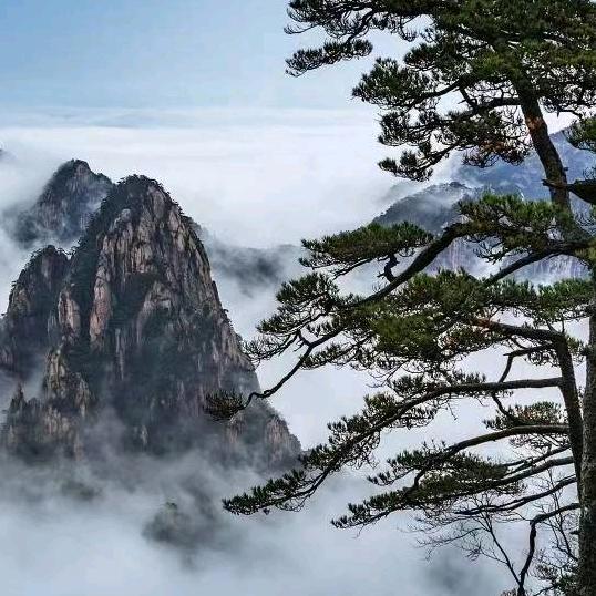 岁月静好，安暖相伴