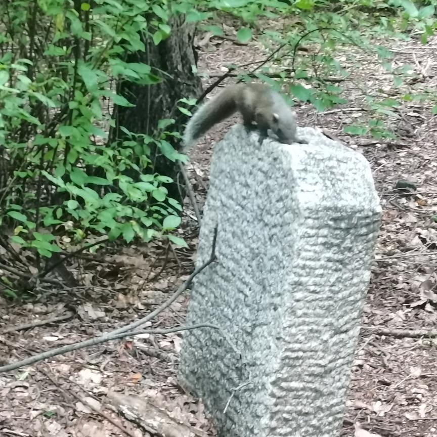 🥰只宠你一人🥰llim