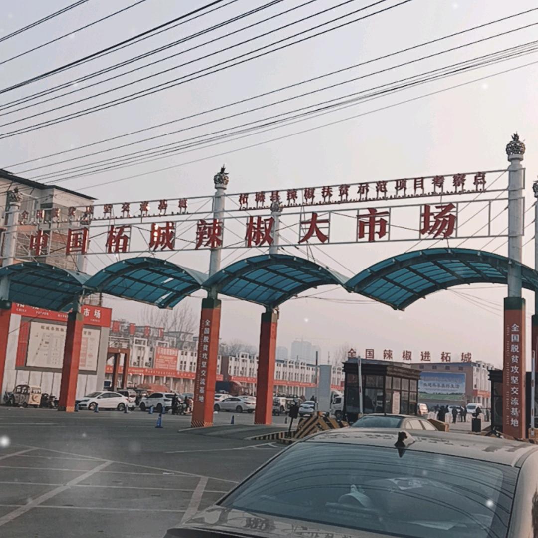 柘城辣椒（峰辣辣）