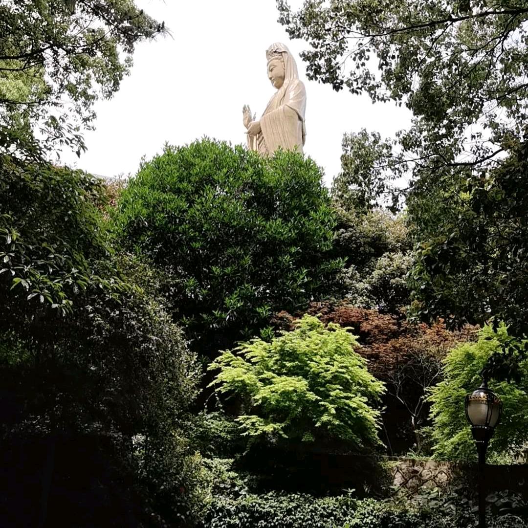 简单❥才是≌人生