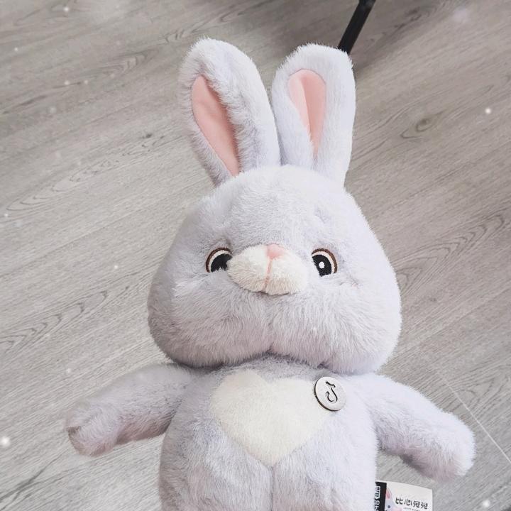 Mr. Rabbit