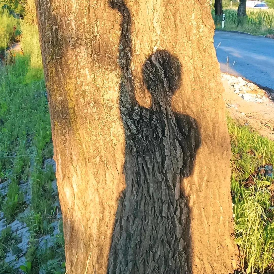柚子茶