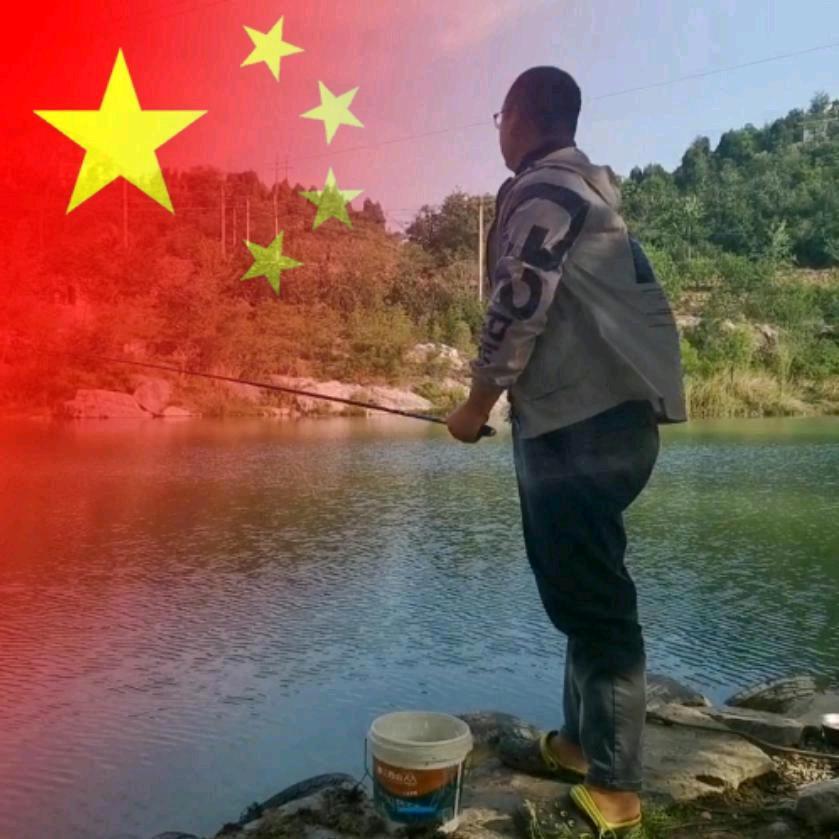 金鱼尾🐟