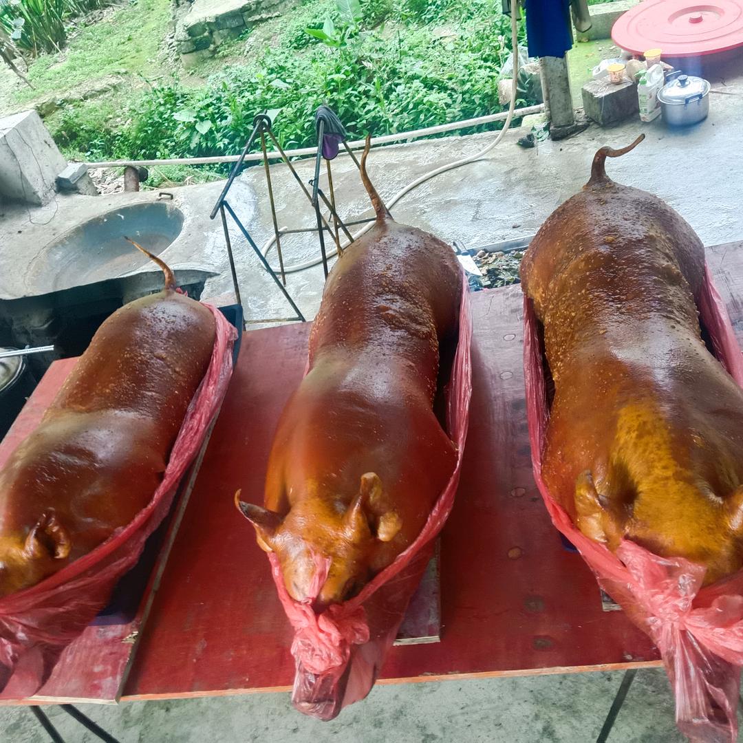 农人飞仔