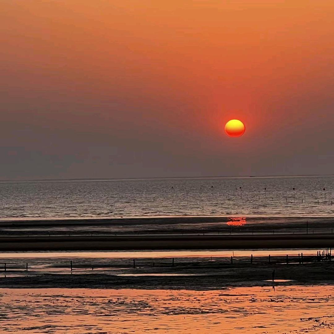 LI小李子（回）