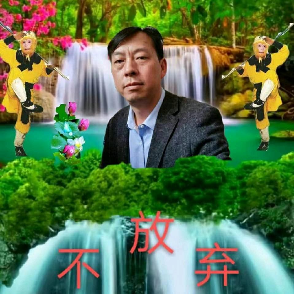 不放弃金不换