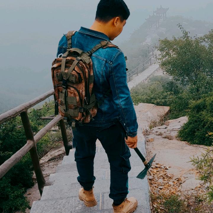 【树痴·墨羽】