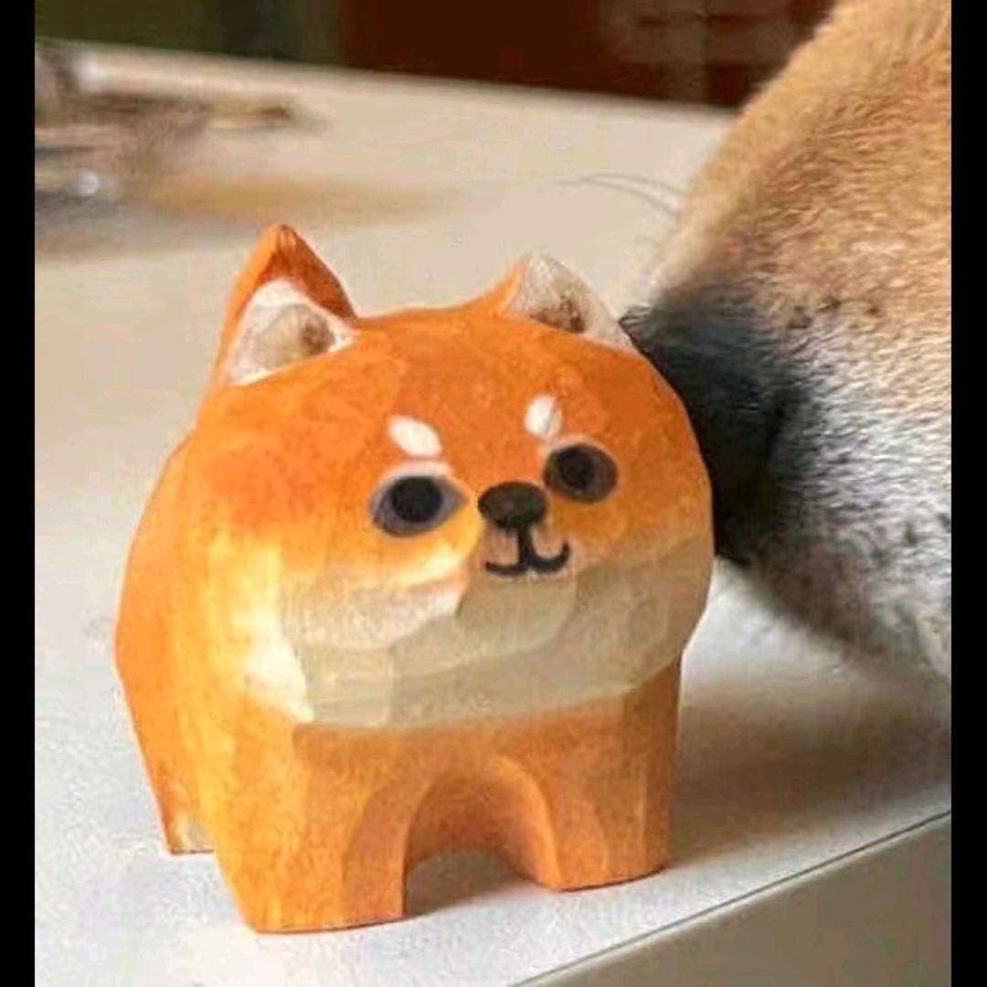 廖歪歪yyds