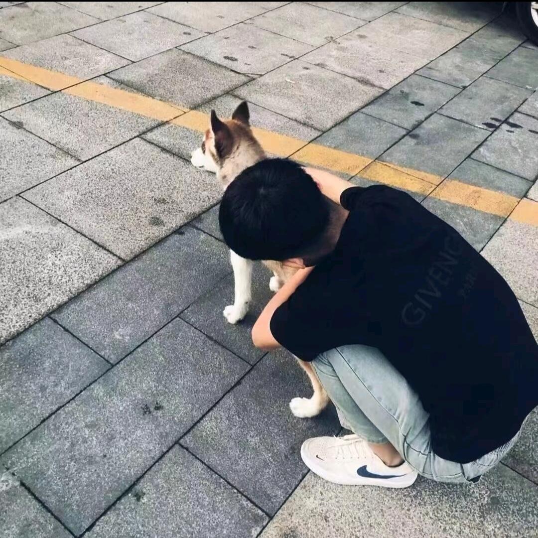 本性宅