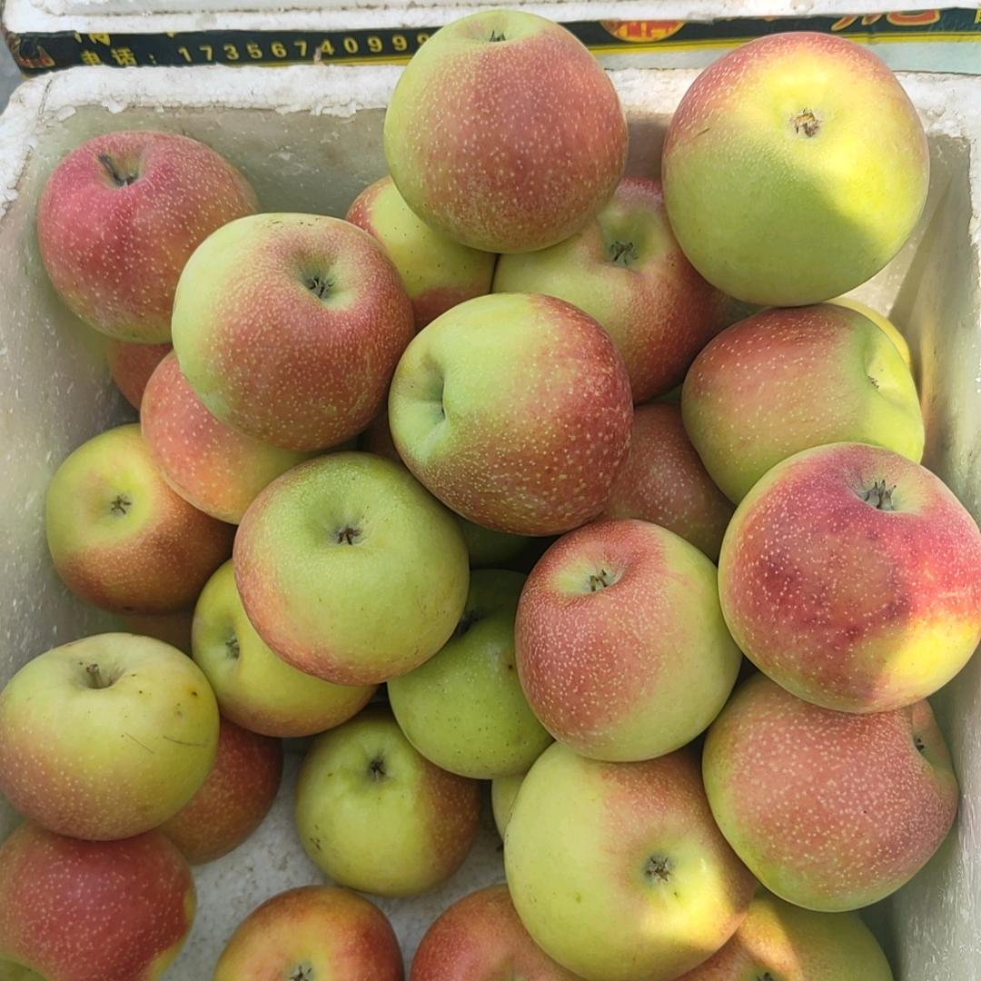 农村赵斌的快乐生活