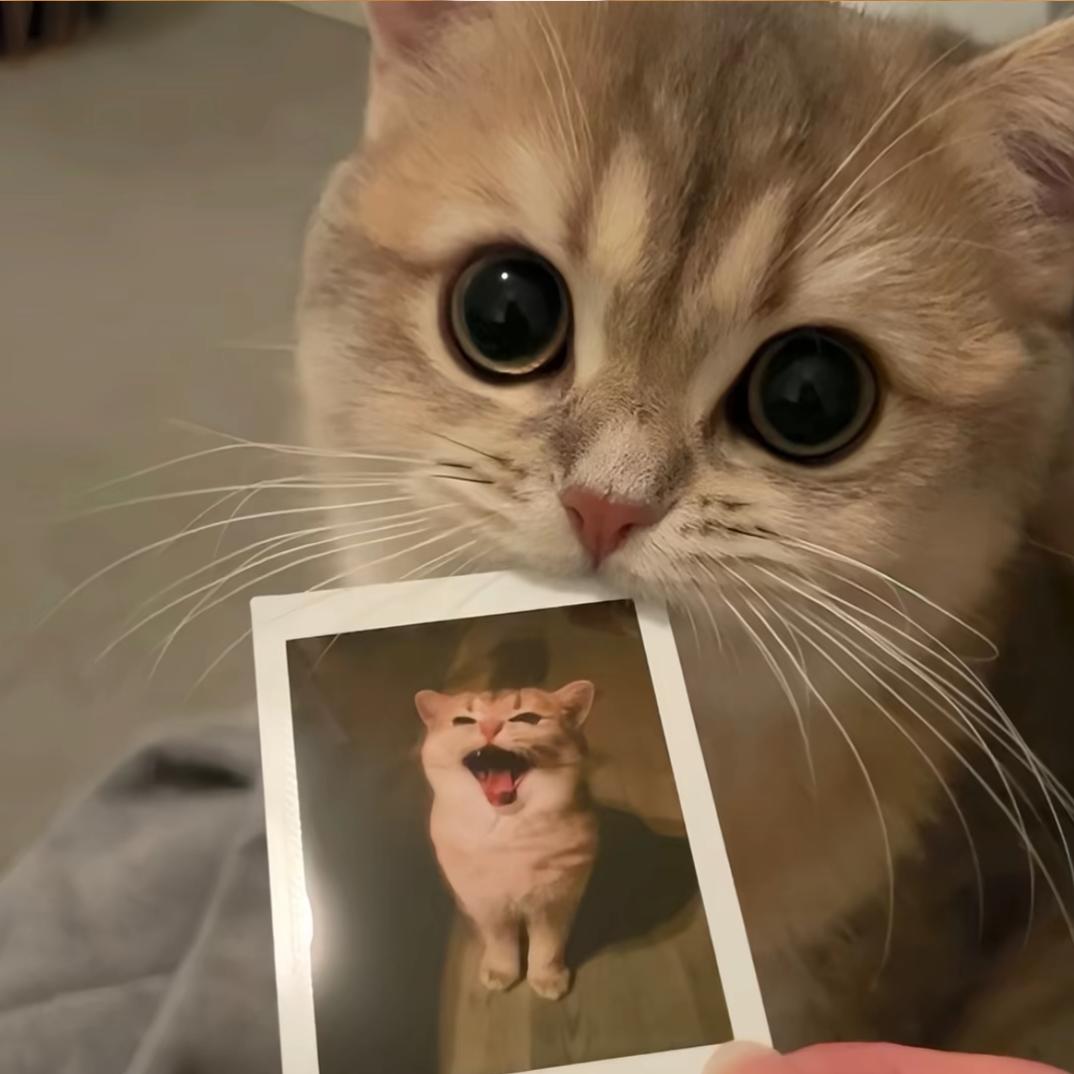 7946