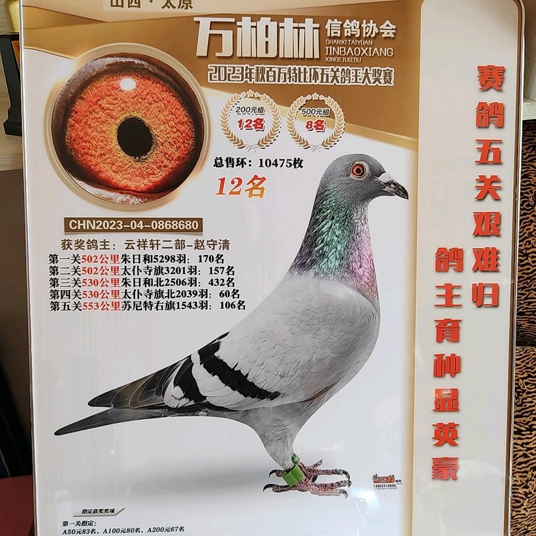 云祥轩二部