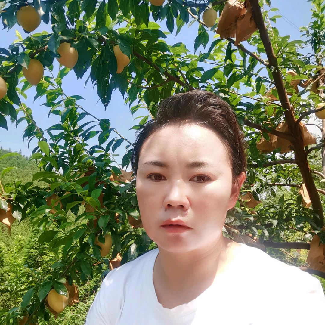 翔飞果园