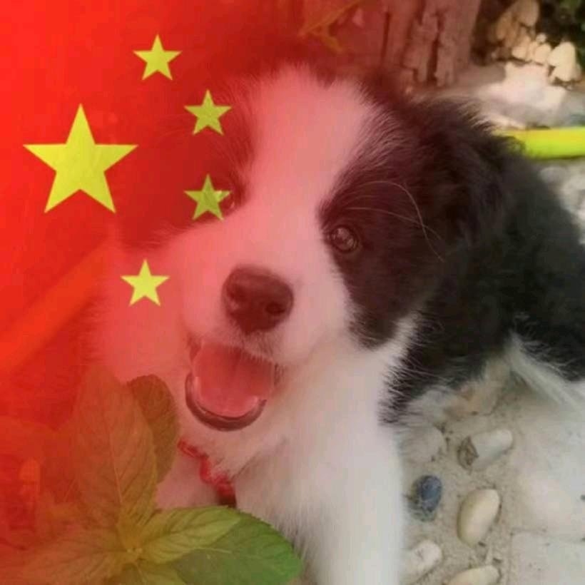 那仰望的人
