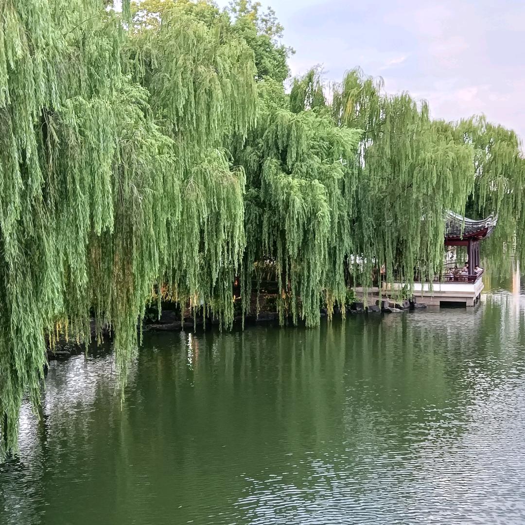 小老表