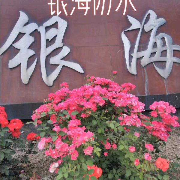 银海防水