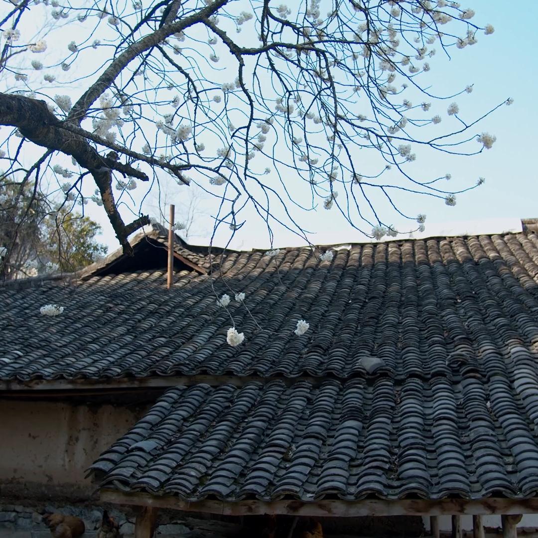 太行山农家