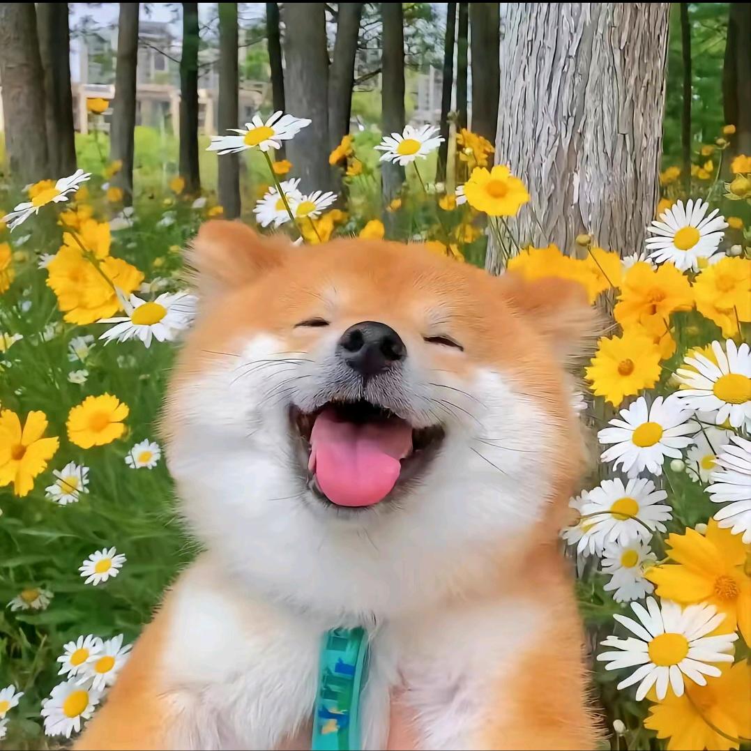 远走他乡