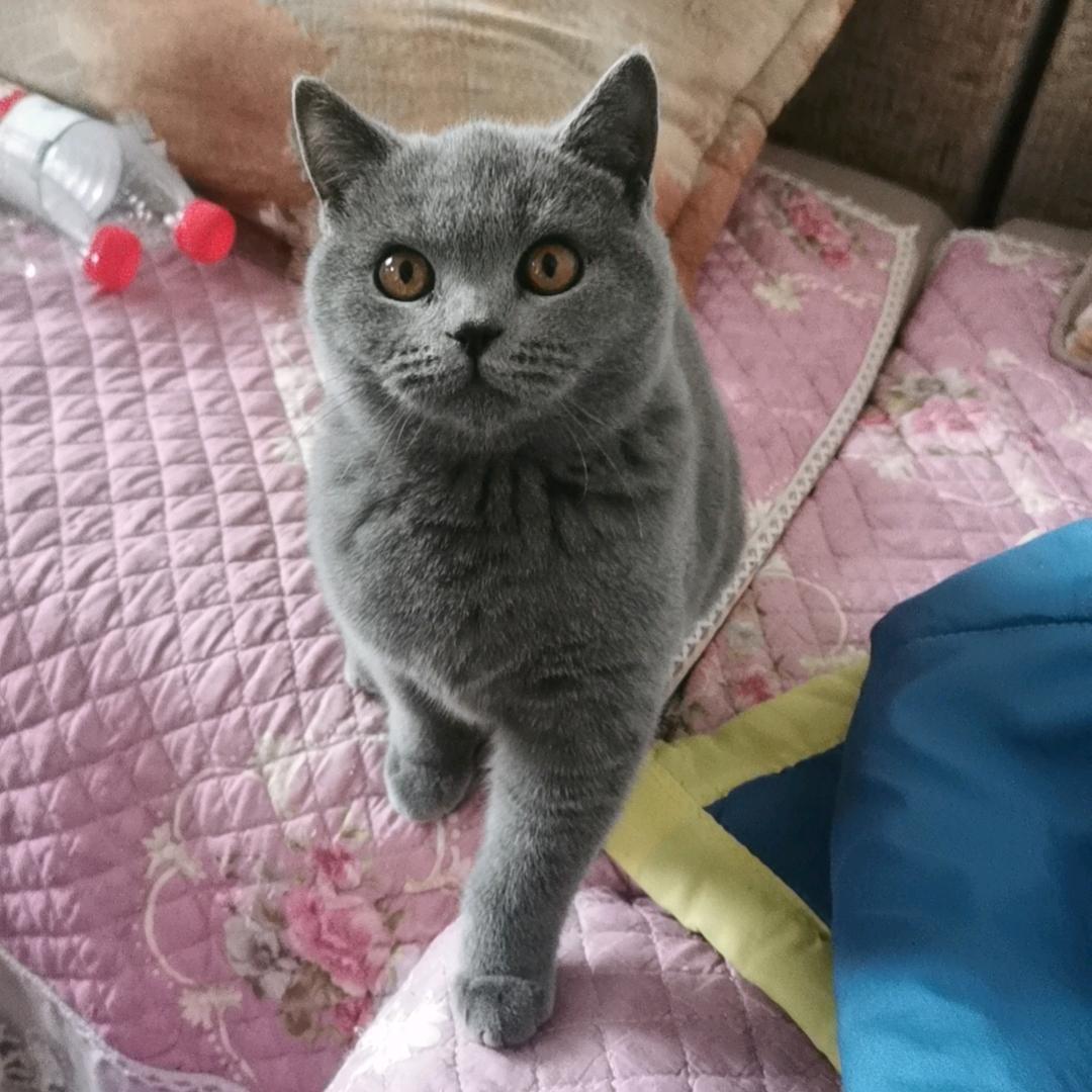 开💞😘